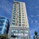 세븐일레븐 진주골든튤립 이미지