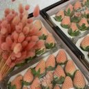 세라농장(1농장) 이미지