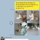 이웃집 멍 이미지