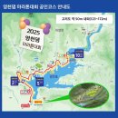 임고농업협동조합 | 2025년 영천댐 마라톤 D-1 첫 마라톤 10KM 준비물 챙기기
