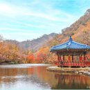 단풍 - 관악구 신림동길 25 | 단풍