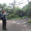 정고개농장 Daum카페