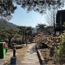 세인트 인 우둠지 펜션 이미지