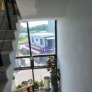 수타이아로마