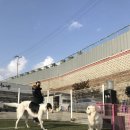 자랑하개 이미지