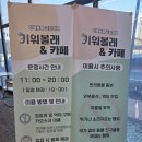 10용사로 | 동탄 키워볼래 파충류카페 솔직후기