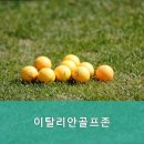 이탈리안골프존 네이버블로그