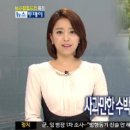 수박 이미지