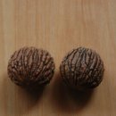 호두나무 이미지