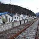 흥전1리 한국일보