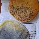 새문한의원 이미지