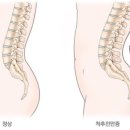 엠 필라테스 동탄점 네이버블로그