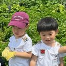 나래영재어린이집 이미지