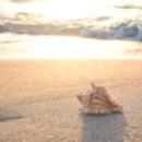 소통 티스토리