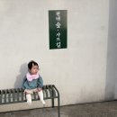 공주-23 | 동학사맛집, 공주 편백찜 추천 | 편백숲 샤브길 솔직 방문 후기