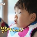 치폴레옹 이미지