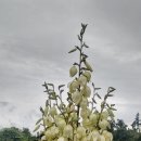 담모라호텔 이미지