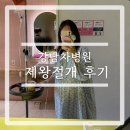 우린동물병원 | 강남차병원 제왕절개 후기｜전신마취, 신중식교수님 집도, 입원생활까지 총정리