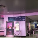 7단지 럭키슈퍼 | 싱가포르 혼자 여행 야경 추천 가든스바이더베이 슈퍼트리쇼 무료 관람 비오는날 후기