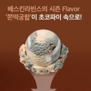 [쫀득한 식감 초코과자] 사무실 간식으로 제격인 &#39;배스킨라빈스 쫀떡궁합 파이&#39;