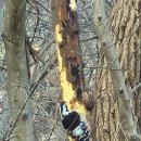 수리산둘레길 이미지