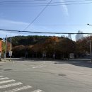 순수국밥 | 부산 토렴식 국밥 맛집 양산국밥 해운대 본점 후기