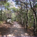 안골길 9 이미지