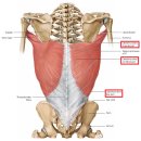 이즈의원 이미지