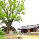 고택 수련 이미지