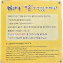 장성호 주차장 1 화장실 | [전남 겨울 가볼만한곳] 장성호 수변길 눈꽃 트레킹 (옐로우 &amp; 황금빛 출렁다리 코스 총정리)