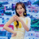 엘리스 빌딩 이미지