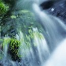 영유아교수방법 이미지