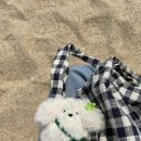 브룩클리 - 용산구 청파로43가길 2 | 체크처돌이의 브룩클리 에코백 체크백 내돈내산 후기