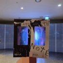 검암동 661-2 횡단보도 | 데스노트 뮤지컬 관람 후기