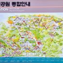 용의발광장 이미지