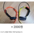 나드리독 이미지