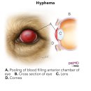 관저종합동물병원 이미지
