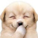 본스튜(산본점)