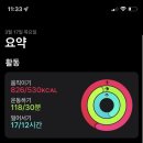 바디조짐 이미지