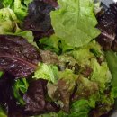 멱절길35번길 이미지