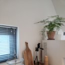 스테이묘해 이미지