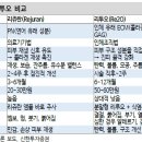 에스테틱