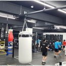 홍 복싱클럽 이미지