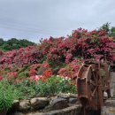 장미원내부 이미지