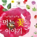 꽃이야기 - 남원시 향단로 32 | 꽃이야기