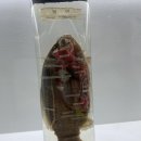 땅끝해양자연사박물관 | 해남 여행코스 땅끝해양자연사박물관 아이랑 가볼만한곳