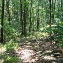 고향산천휴게소 이미지