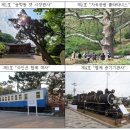 송학동-12 이미지