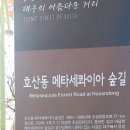 와룡아랫공원 이미지