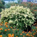 바다정원펜션 이미지